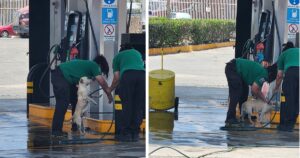 Due ragazze che lavorano ad una stazione di servizio fanno la doccia ad un cane randagio per rinfrescarlo dal troppo caldo