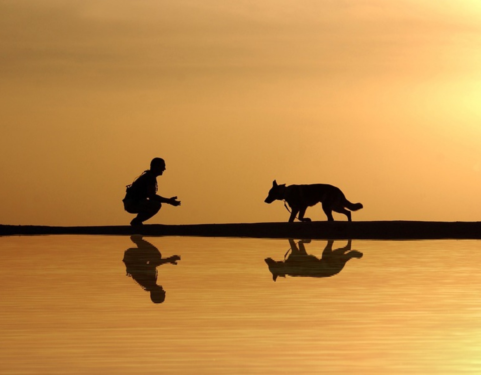 cane e persona