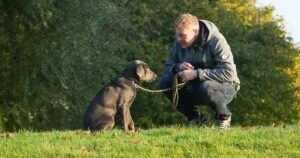 È vero che il cane “assomiglia” al proprio padrone? La risposta arriva dalla scienza