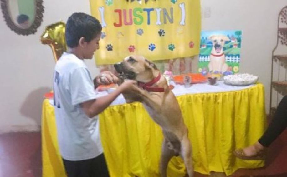 cagnolino festa