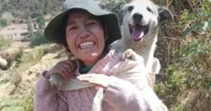 Questa donna porta sulle spalle il proprio cane anziano ogni giorno mentre lavora raccogliendo il mais (VIDEO)