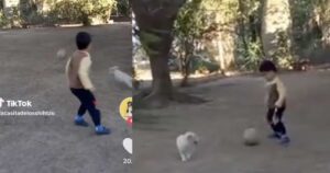 Cagnolino Shih Tzu si diverte a calcio con un bambino e gioca anche meglio di lui (VIDEO)