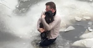 Uomo si tuffa in un fiume ghiacciato pur di salvare la vita a un cucciolo di cane (VIDEO)