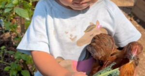 La bambina condivide una particolare merenda con la sua gallina (VIDEO)