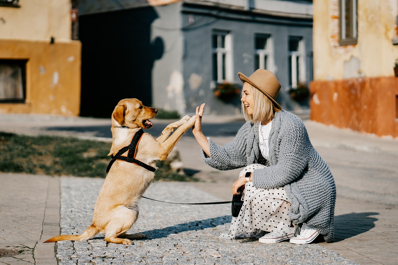 quanto ci mette un cane ad affezionarsi a un essere umano