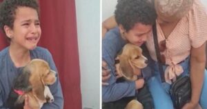 Bambino piange perché può adottare un cane abbandonato (VIDEO)