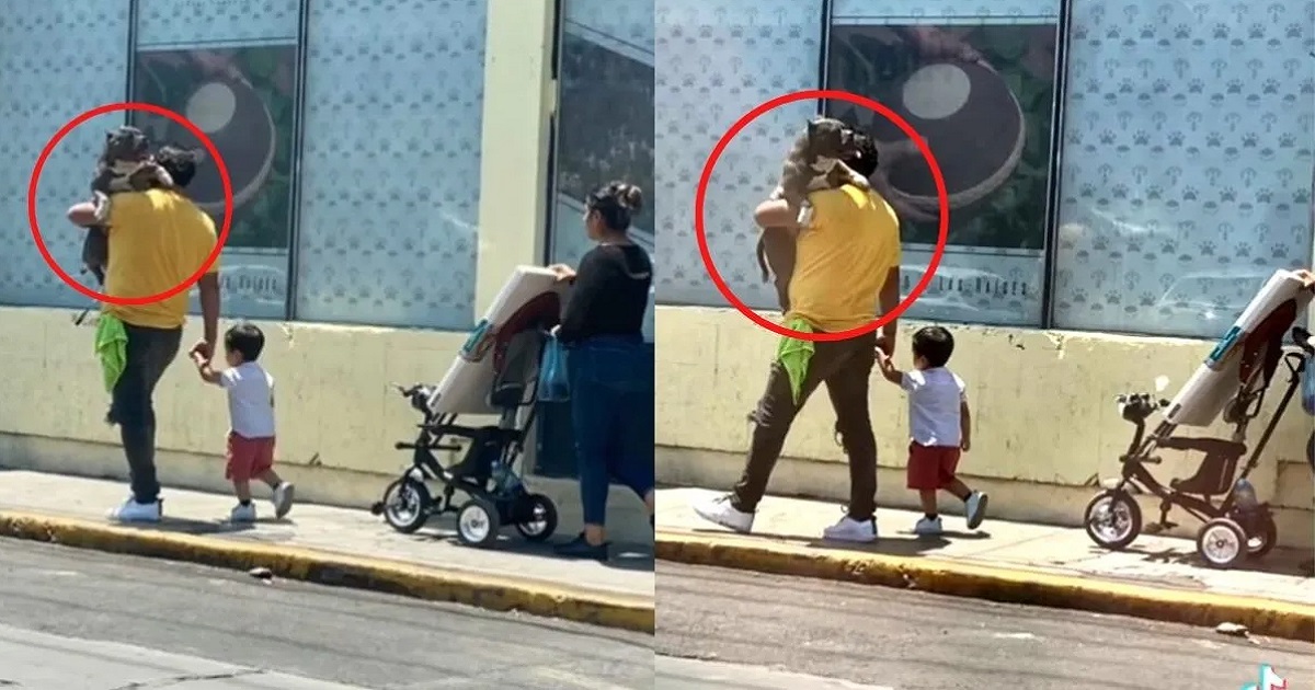 uomo in braccio cane