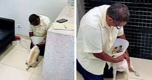 Cane diventato cieco rivede il suo papà dopo l’operazione e fa emozionare tutti (VIDEO)