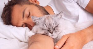 Il gatto sceglie con chi dormire, ma come sceglie la sua persona preferita?