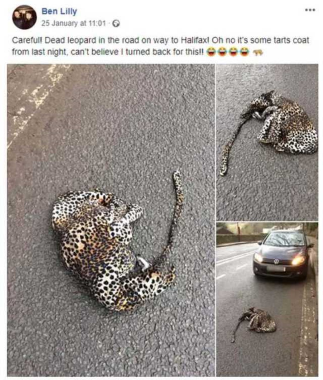 uomo cerca di aiutare leopardo