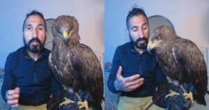 Vive con un’aquila come animale domestico: “Il nostro rapporto è basato su due cose” (VIDEO)