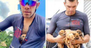 Erano stati gettati in una buca, un ciclista salva cinque teneri cagnolini destinati a una triste fine