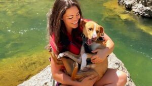 Cagnolino salvato da una travel blogger, adesso viaggiano ed esplorano insieme gli States (VIDEO)