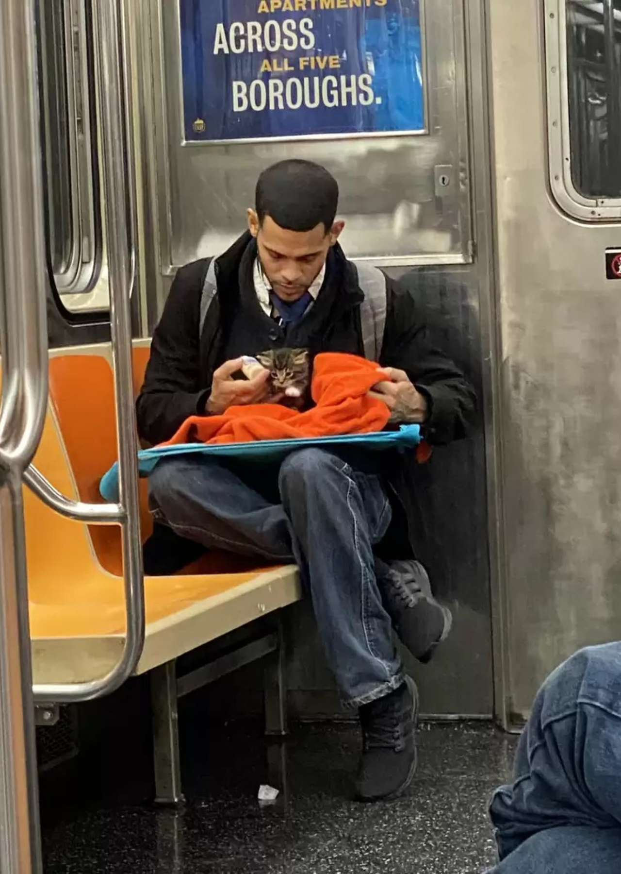 Un uomo e il gattino in metro