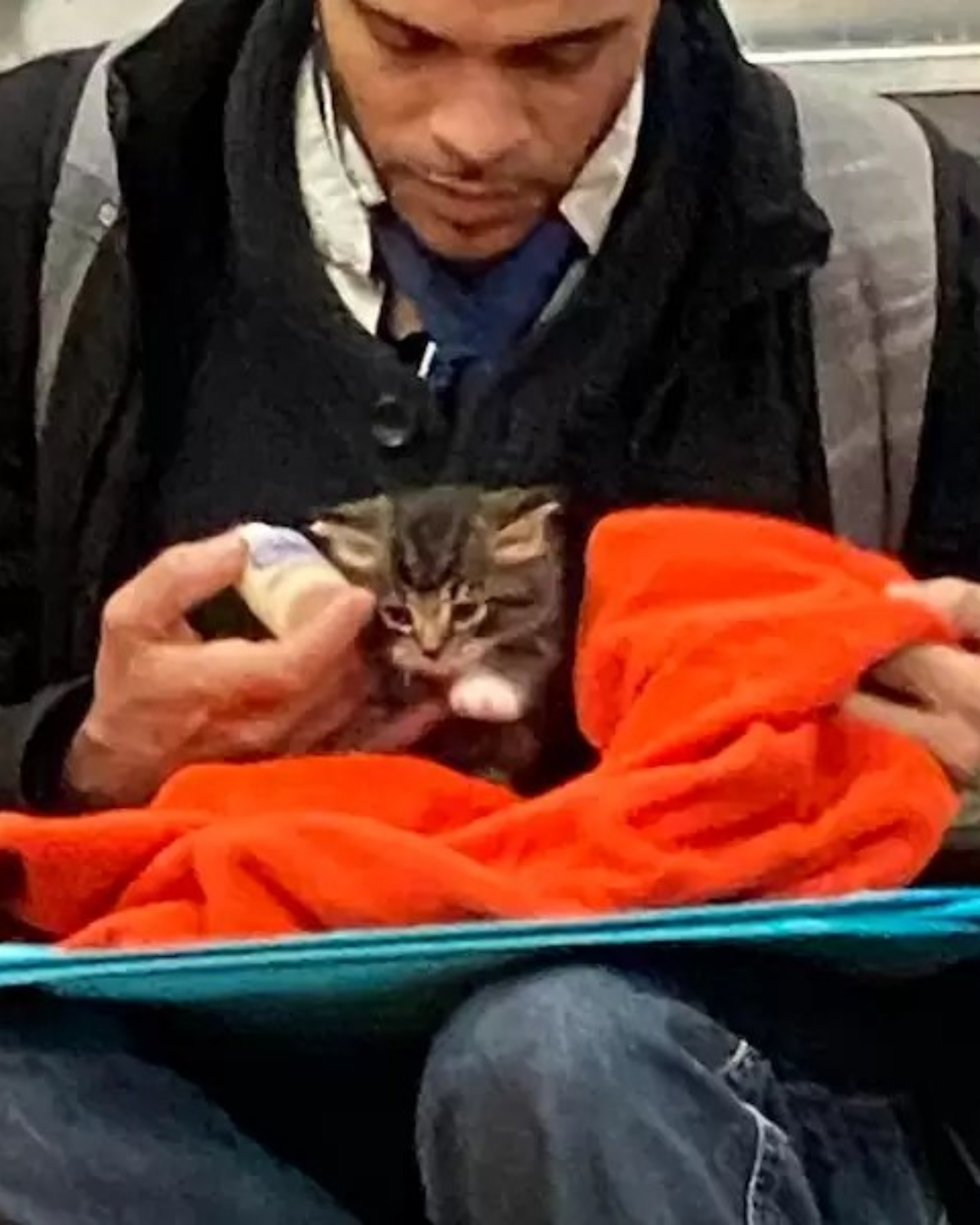 Un uomo e il gattino in metro