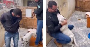 Cane in catene viene liberato da un poliziotto: il cucciolo felice reagisce riempiendo di baci il suo soccorritore (VIDEO)