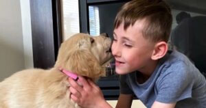 Bimbo con una gamba amputata adotta un Golden Retriever tripode (VIDEO)