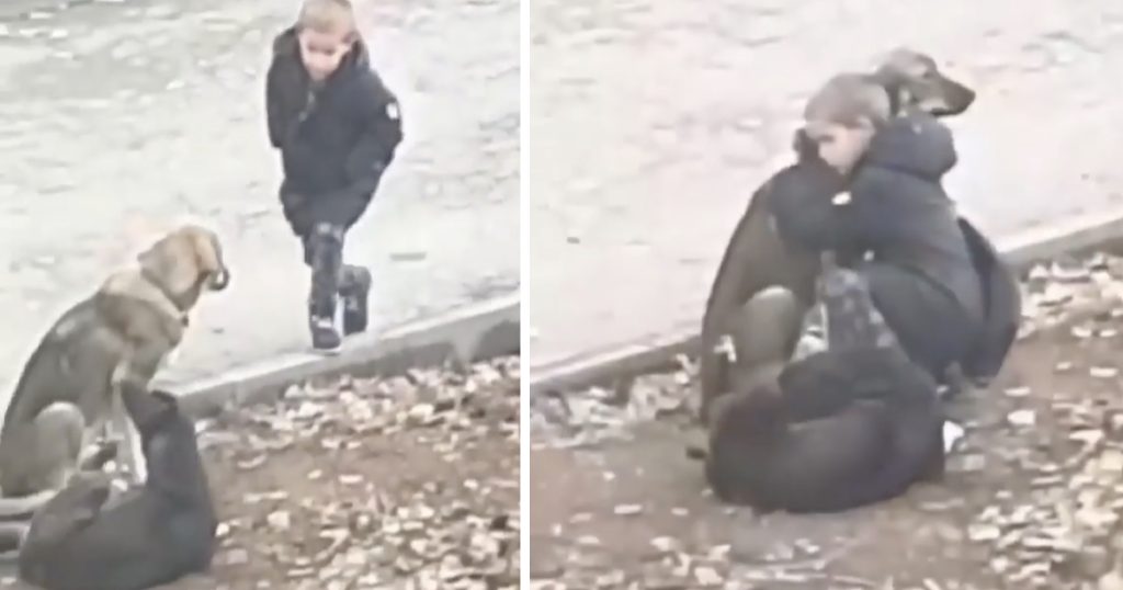 bambino si ferma a coccolare dei cagnolini randagi