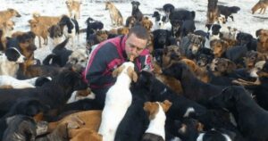 Apre dei rifugi con cui si occupa di oltre mille cagnolini salvati dalle strade o dai maltrattamenti