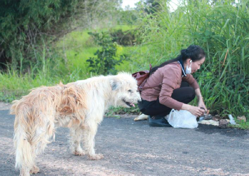 Una famiglia ha perso il proprio cagnolino