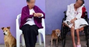 “Un figlio fedelissimo”, una vita insieme per questa donna e il suo amato cagnolino