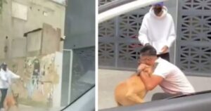 Cagnolino smarrito per sei lunghi anni e poi incrociato per caso insieme ad altre persone (VIDEO)