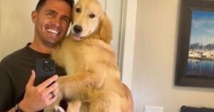 Questo Golden Retriever si precipita dal padrone per scattare un selfie insieme a lui (VIDEO)