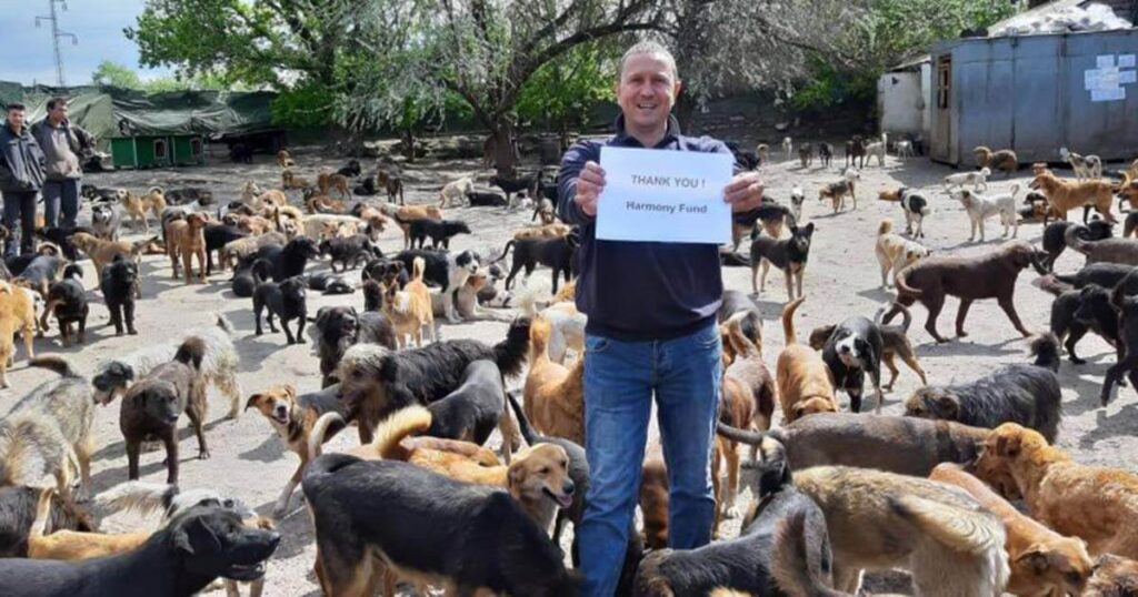 oltre mille cagnolini salvati dalle strade