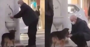 Un anziano si china per permettere a un cagnolino randagio di bere dell’acqua direttamente dalle sue mani