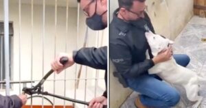 Il poliziotto libera il cane abbandonato e lui ricambia riempiendolo di baci