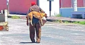 Un uomo anziano solleva il suo cane per non fargli bruciare le zampe sull’asfalto