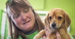 Questo cucciolo è nato con una “coda” sulla fronte, una stranezza che lo ha reso celebre sul web