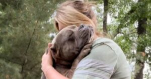 Un cagnolino che adora gli abbracci non poteva restare senza una famiglia amorevole