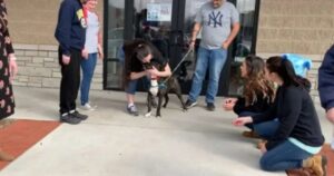 Cagnolino al rifugio per 372 giorni sarebbe stato destinato all’eutanasia, il commovente addio allo staff (VIDEO)