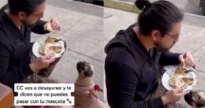 Ristorante non accetta il cagnolino dentro il locale, lui si organizza per restare con il quattro zampe (VIDEO)