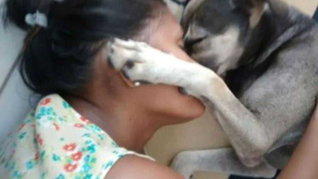 Cagnolino smarrito ritrova la sua padrona