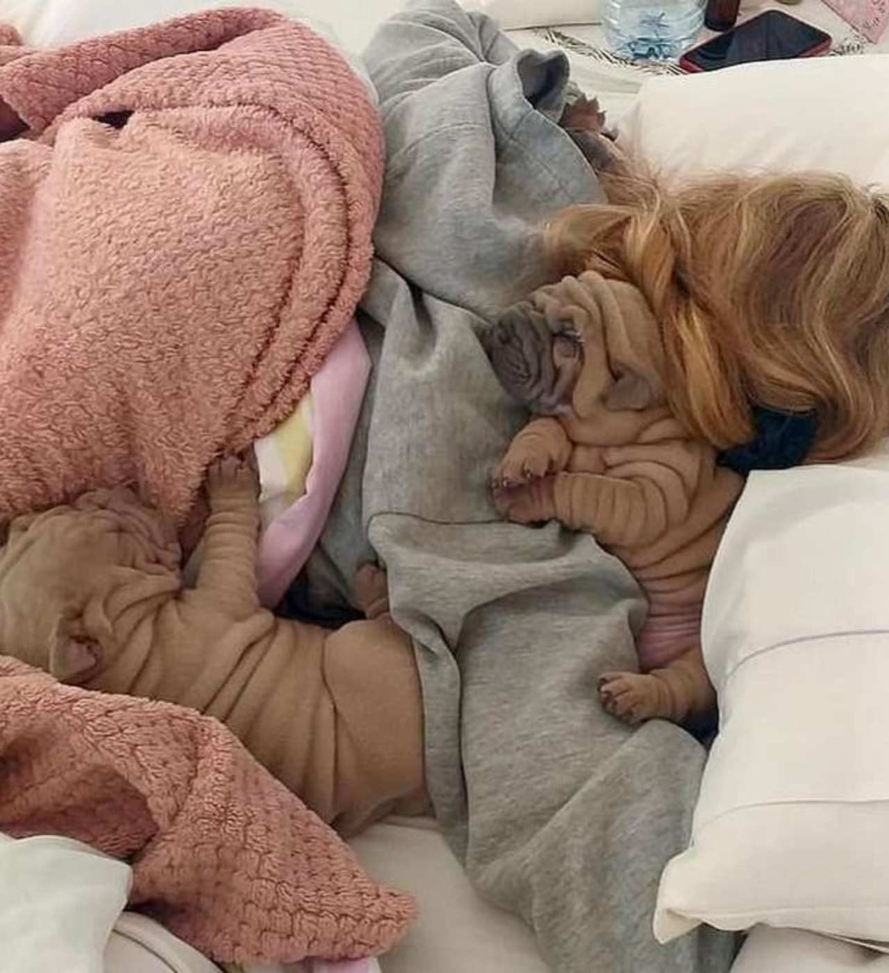 Sembra una coperta ma è uno Shar Pei