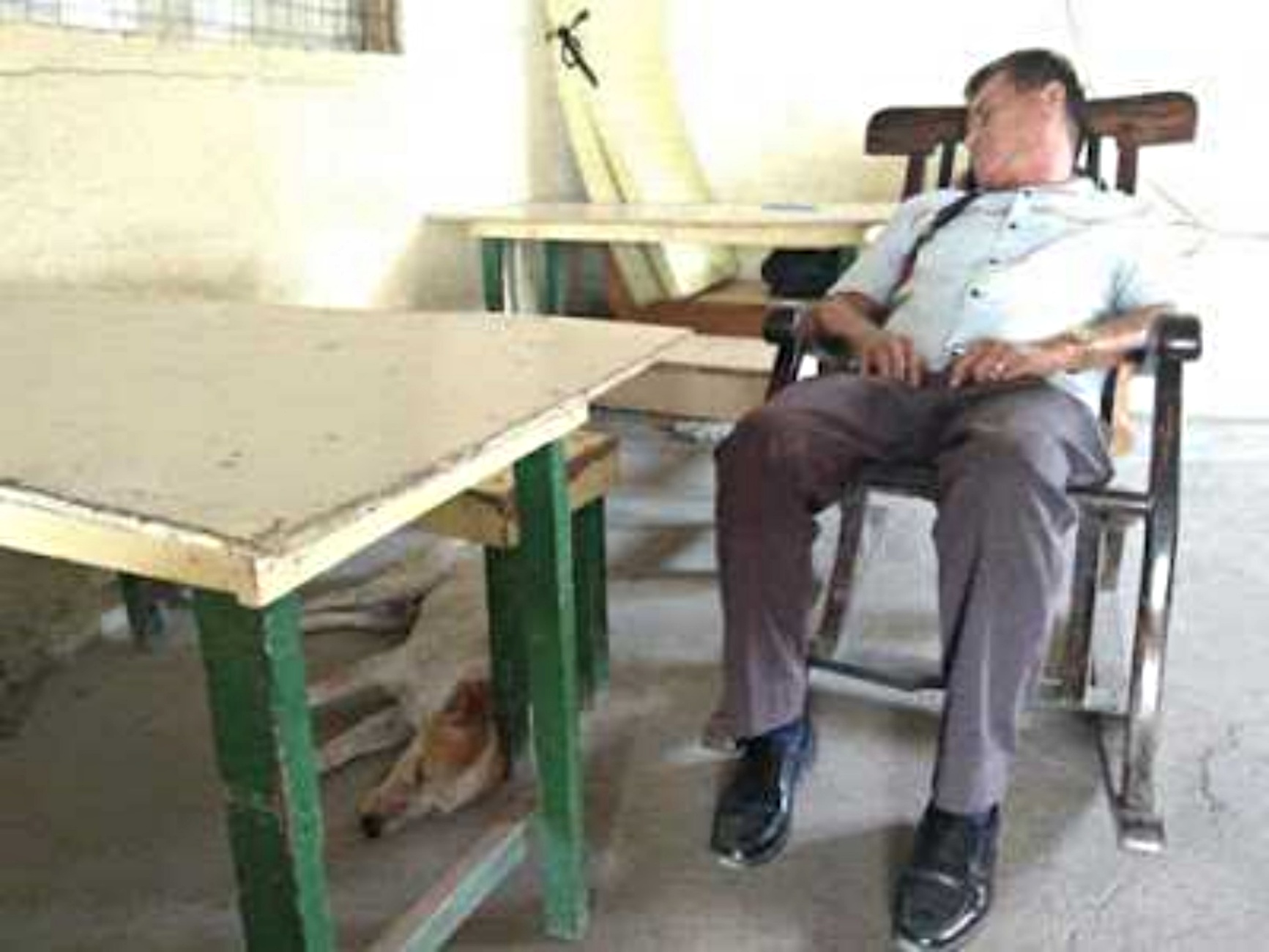 professore con cane randagio