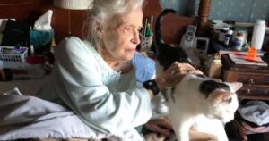 Il gatto più vecchio del rifugio diventa il migliore amico di una donna di 101 anni