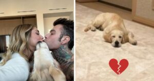 Presunta separazione tra Chiara Ferragni e Fedez: A chi andrebbe l’affidamento di Paloma