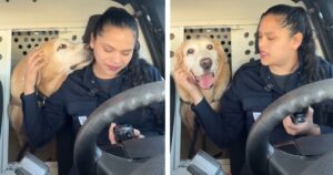 I colleghi di Bubu, il cane poliziotto, lo salutano con commozione: dopo 9 anni va in pensione (VIDEO)