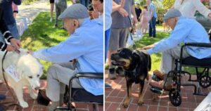 Anziano festeggia il suo 100° compleanno insieme a 200 adorabili cani