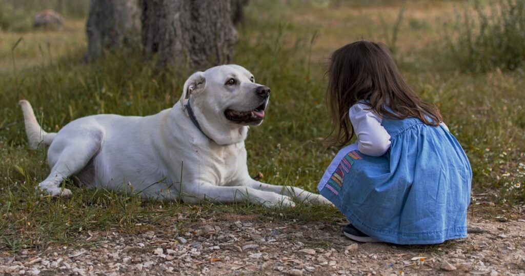 razze di cani bambini