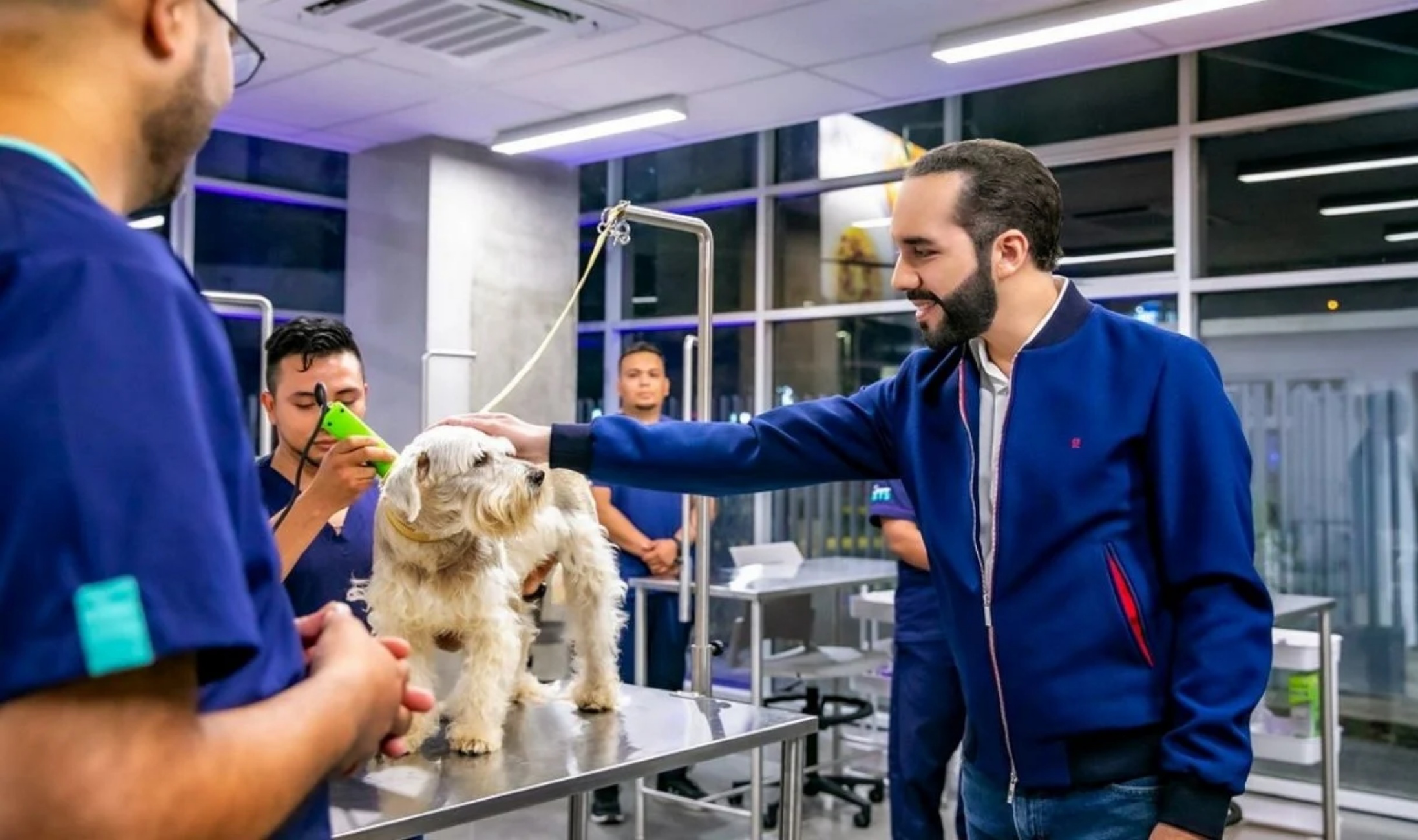 ospedali veterinari pubblici