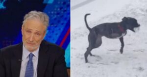 Jon Stewart trattiene le lacrime mentre racconta al Daily Show della morte del suo cane Dipper (VIDEO)