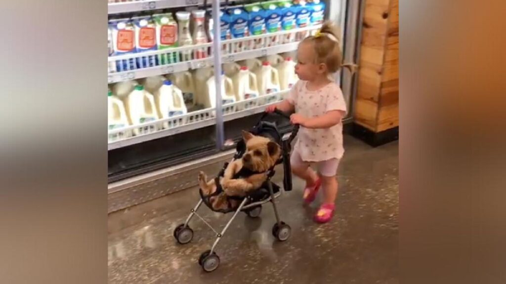 tra gli scaffali del supermercato con il suo inseparabile cagnolino