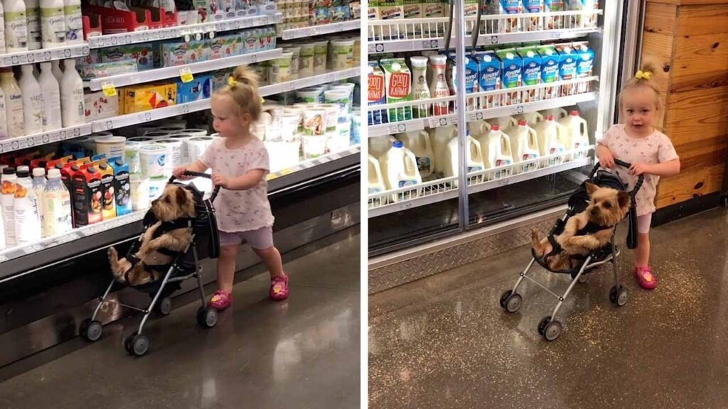 tra gli scaffali del supermercato con il suo inseparabile cagnolino