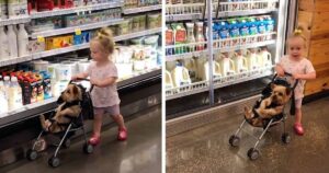 Questa bambina gira tra gli scaffali del supermercato con il suo inseparabile cagnolino (VIDEO)