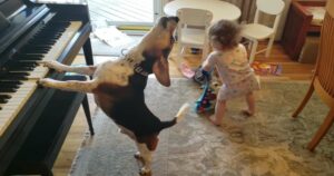 La bambina balla e il cane inizia a suonare il piano dando vita a un’esibizione straordinaria (VIDEO)