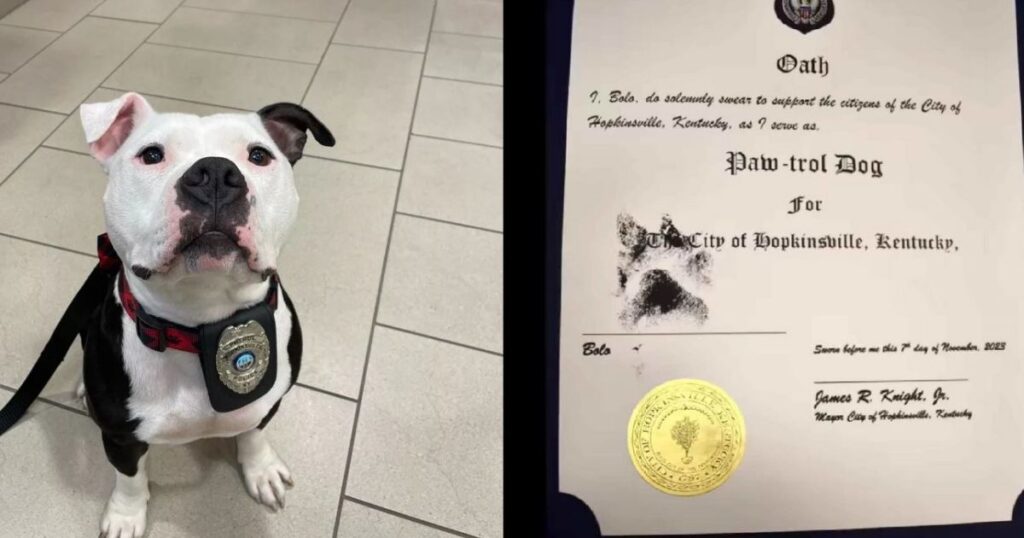 cucciolo adottato dalla polizia